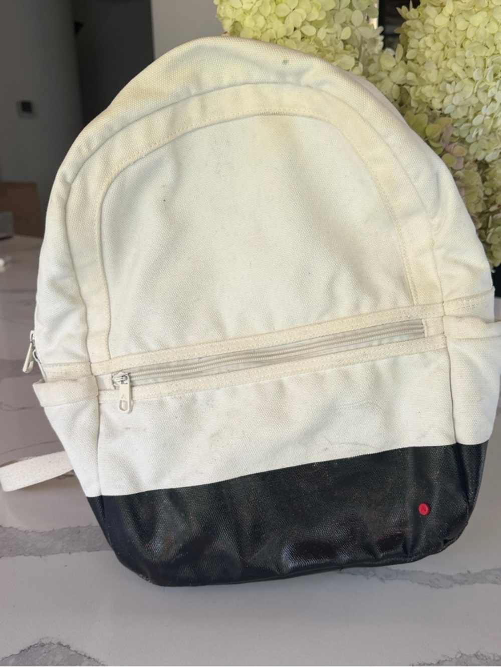 STATE Two-Tone White and Black Canvas Backpack
